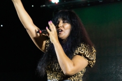 Impulsefest-02005